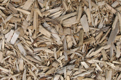biomass boilers Pentridge